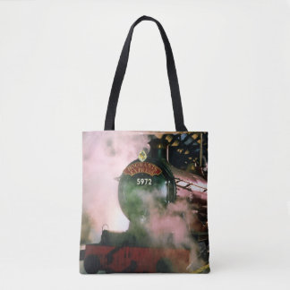 Hogwarts Express 2 Tygkasse