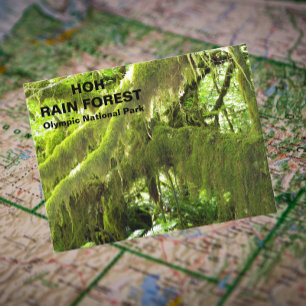Hoh Rain Forest Travel Photo Vykort