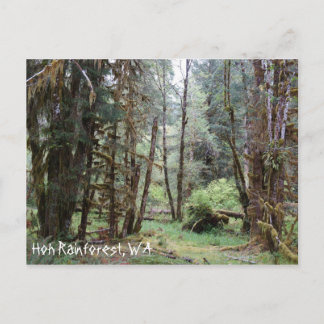 Hoh regnskog, Washington State, vykort