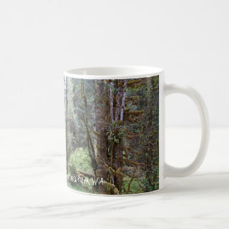 Hoh regnskog, Washingtons delstat, Mugg