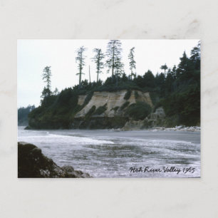 Hoh River Valley 1965 Vykort