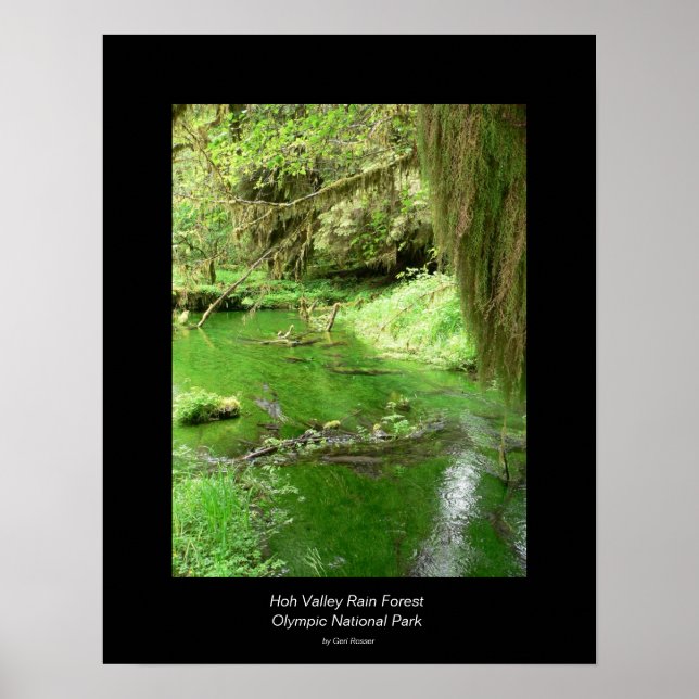 Hoh Valley Rain Forest Poster (stream) (Framsidan)