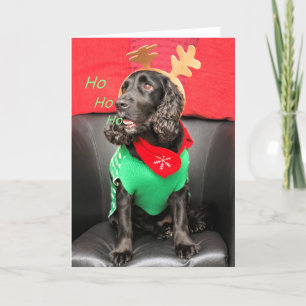 HoHo Cute Hund Helgkort