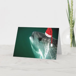 HoHoHo valhaj Helgkort