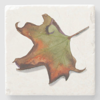 Hoja al inicio del otoño stenunderlägg