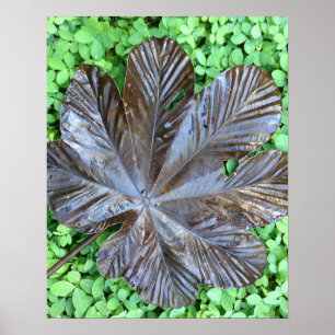 Hoja de Yagrumo seca sobre grame verde Poster