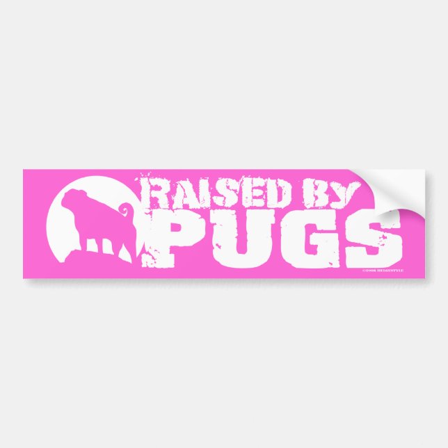 HÖJD AV PUGS Rosa Bumper Sticker Bildekal (Framsidan)