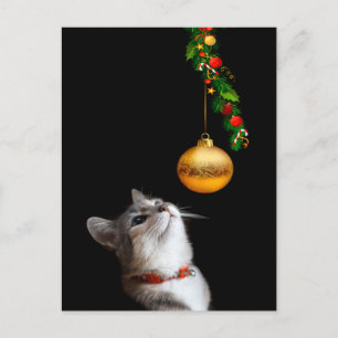 Höjd jul i kattunge helg vykort