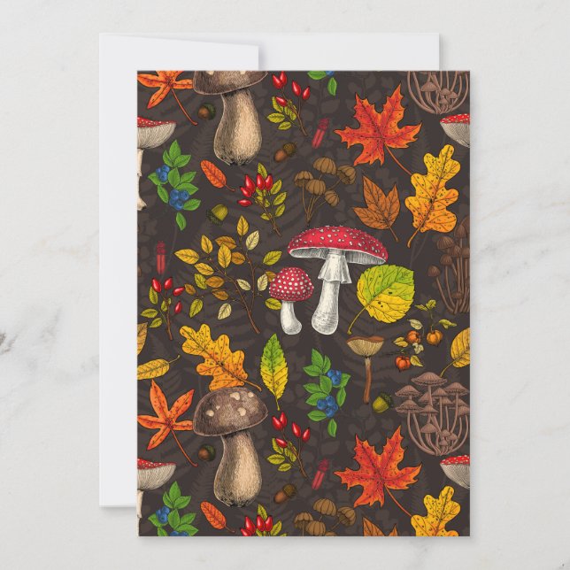 Höjd, löv, nöt och bär på mörk (Framsida)