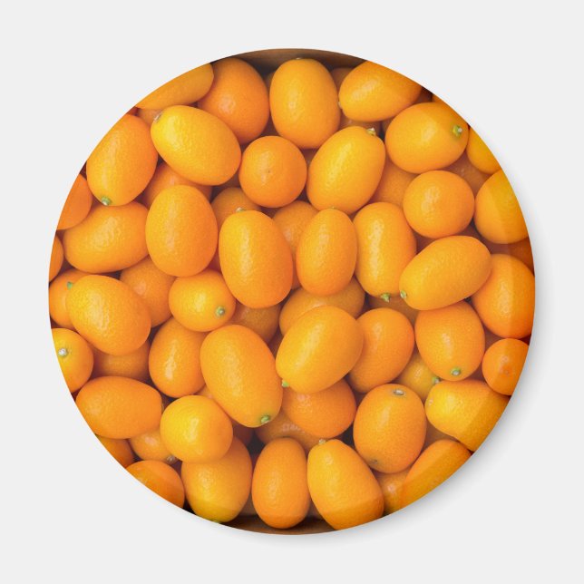 Höjd på kumquat i orange i kartong magnet (Framsidan)