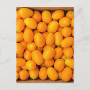 Höjd på kumquat i orange i kartong vykort