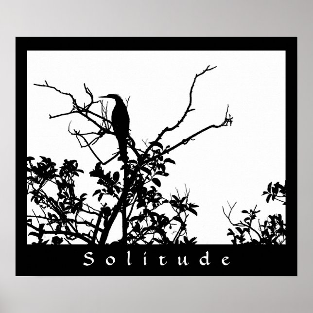 Höjd Poster (Framsidan)