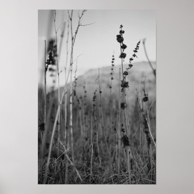 höjd poster (Framsidan)