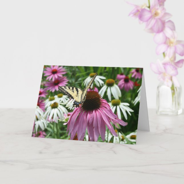 Höjdkort för svärdfjäril, fjäril, blomma kort (Orkide)