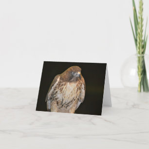 Hök Notecard Kort