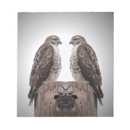 Hökar på en posta anteckningsblock