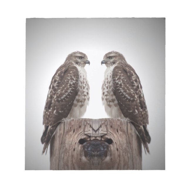 Hökar på en posta anteckningsblock (Framsida)