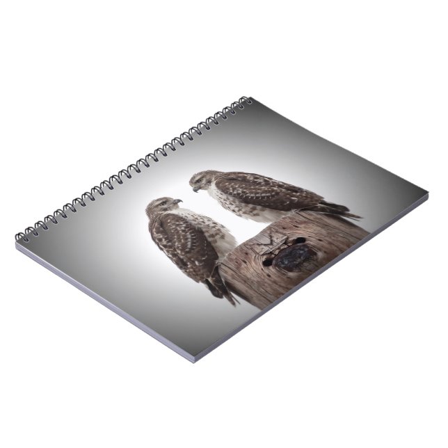 Hökar på en posta anteckningsbok (Vänstra Sidan)