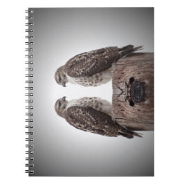 Hökar på en posta anteckningsbok