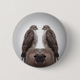 Hökar på en posta knapp