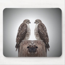 Hökar på en posta musmatta