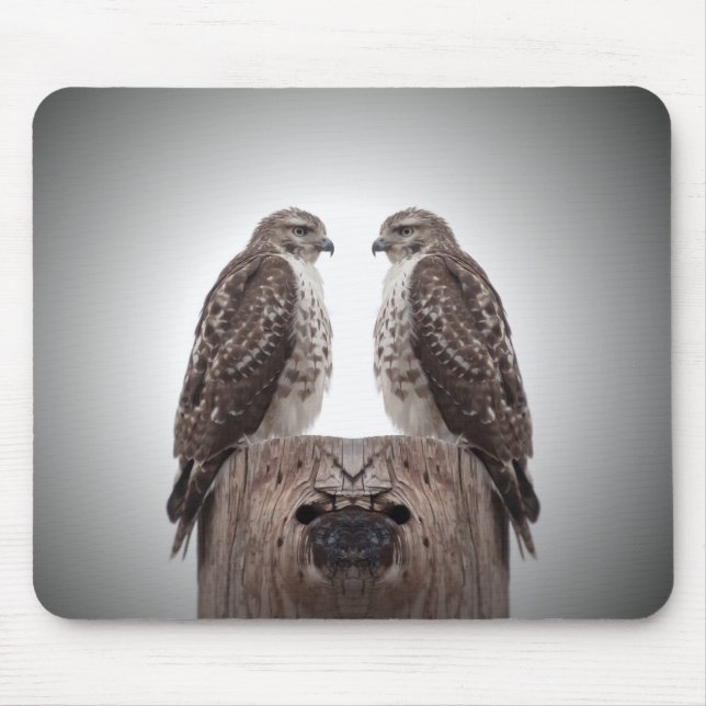Hökar på en posta musmatta (Framsidan)