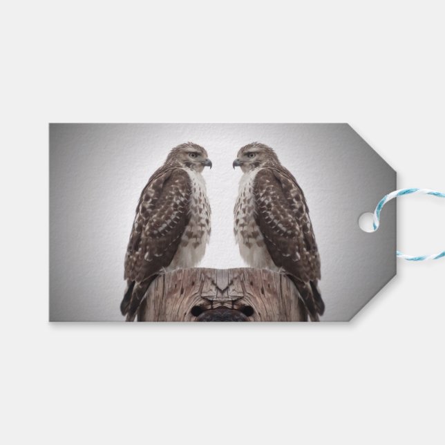 Hökar på en posta presentetikett (Framsidan (Horisontell))