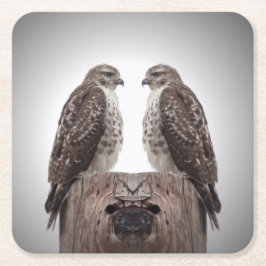 Hökar på en posta underlägg papper kvadrat