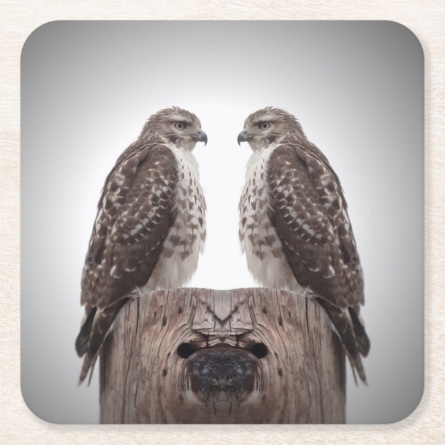 Hökar på en posta underlägg papper kvadrat (Framsidan)