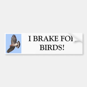 Höken BROMSAR JAG FORBIRDS! Bildekal
