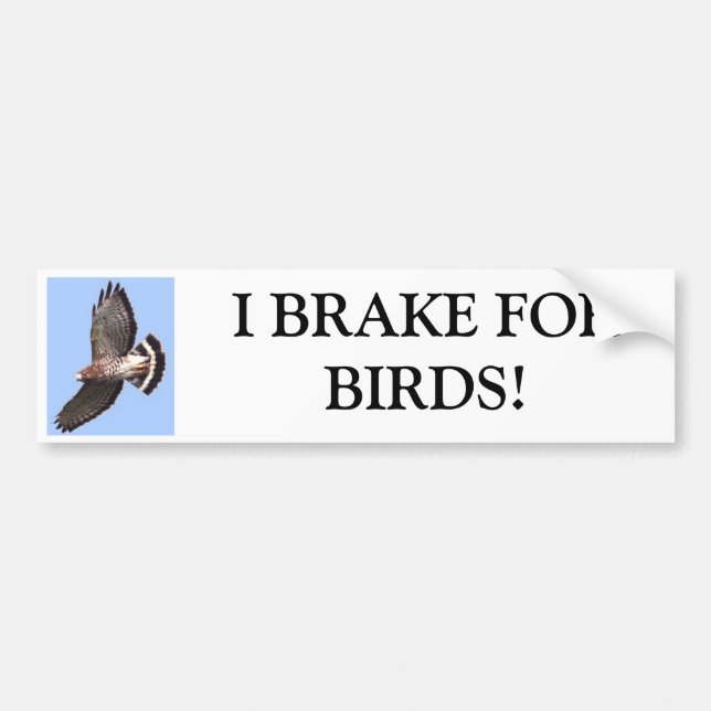 Höken BROMSAR JAG FORBIRDS! Bildekal (Framsidan)