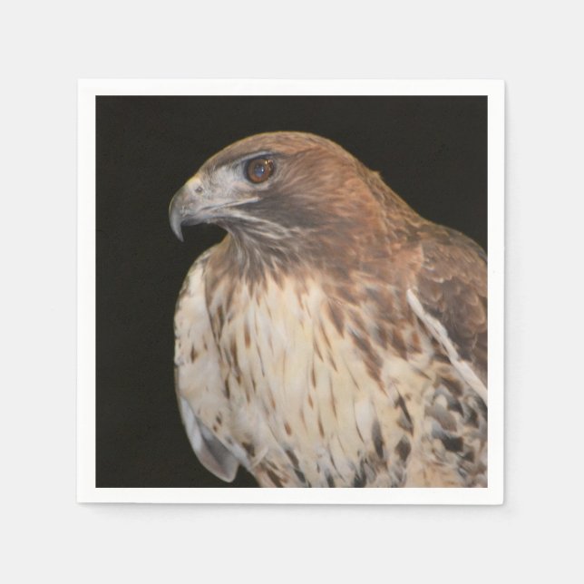 Hökens anda pappersservett (Framsidan)