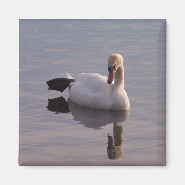 Hokey Pokey Magnet (Framsidan)