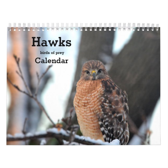 Hökfåglar av be Kalender (Omslag)