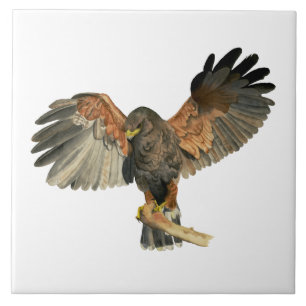HökFlapping påskyndar vattenfärgmålning Kakelplatta