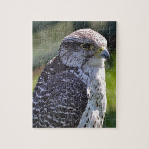 Hökpussel/Jigsaw med Tin Pussel