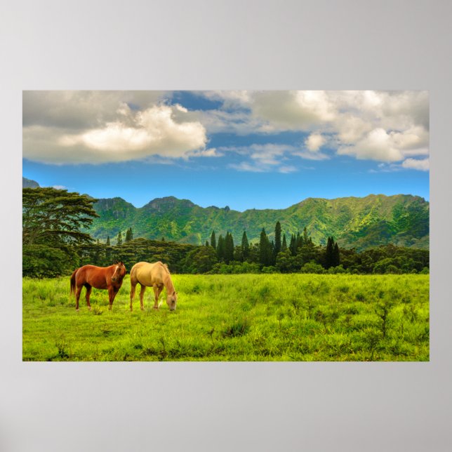 Hokulei Peak, Kauai, Hawaii Poster (Framsidan)