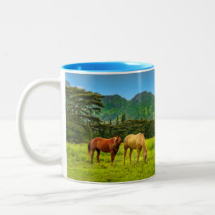 Hokulei Peak, Kauai, Hawaii Två-Tonad Mugg