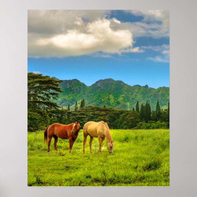 Hokulei Peak, Kauai, Lodrät Poster (Framsidan)