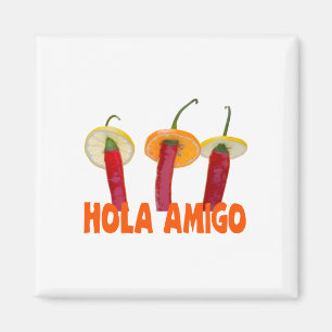 Hola Amigo Magnet
