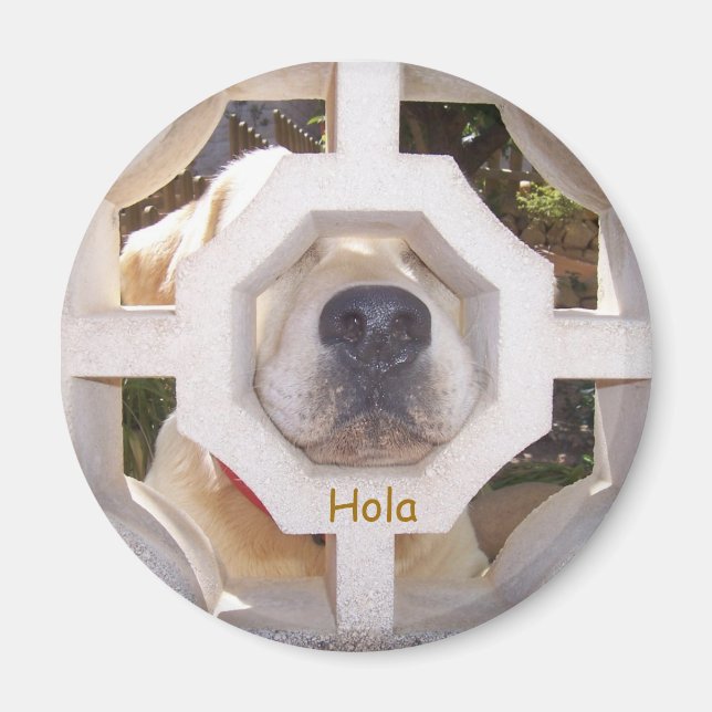 Hola Magnet (Framsidan)