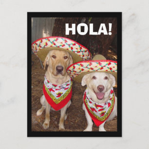 HOLA! VYKORT