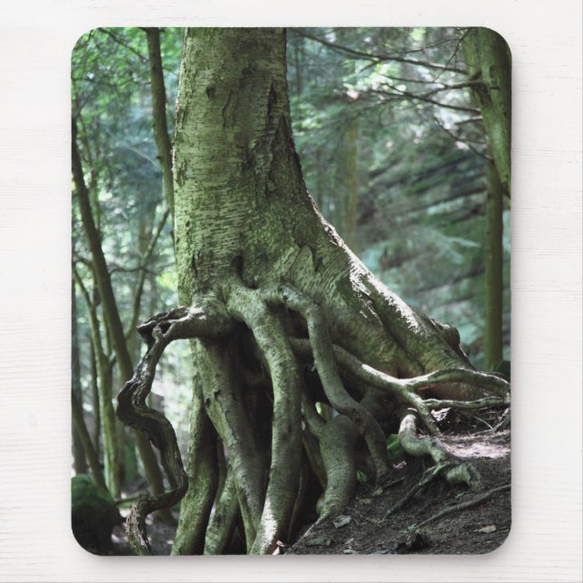 HOld Musmatta (Framsidan)