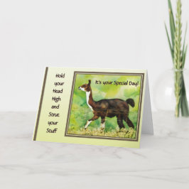 Hold Your Head High & Strut Your Stuff  Kort