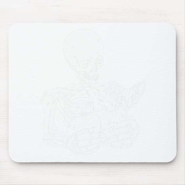 Holding Cat Funny Halloween Skull Sphynx Cat Musmatta (Framsidan)