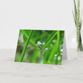 Holding Händer, Dew Drop Poetry of Nature Kort