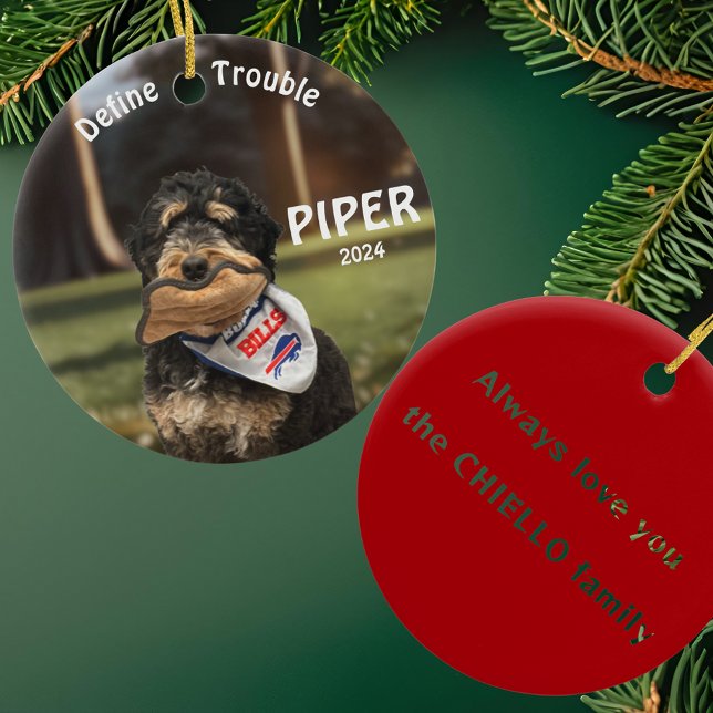 Holiday Bernese Mountain Dog Photo Ornament (Skapare uppladdad)