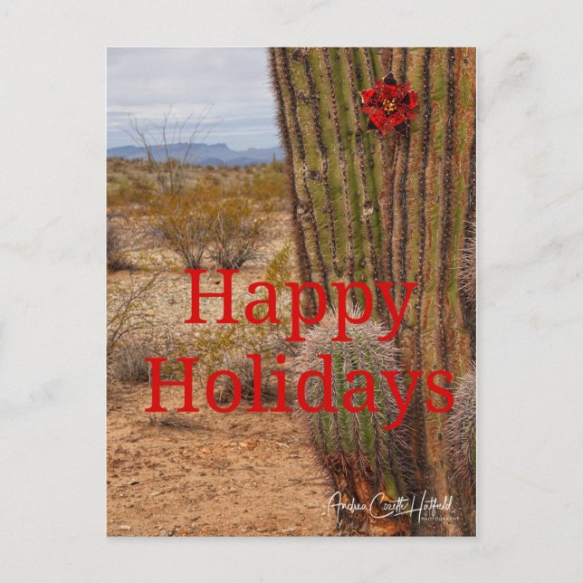 Holiday Cactus Vykort (Framsida)