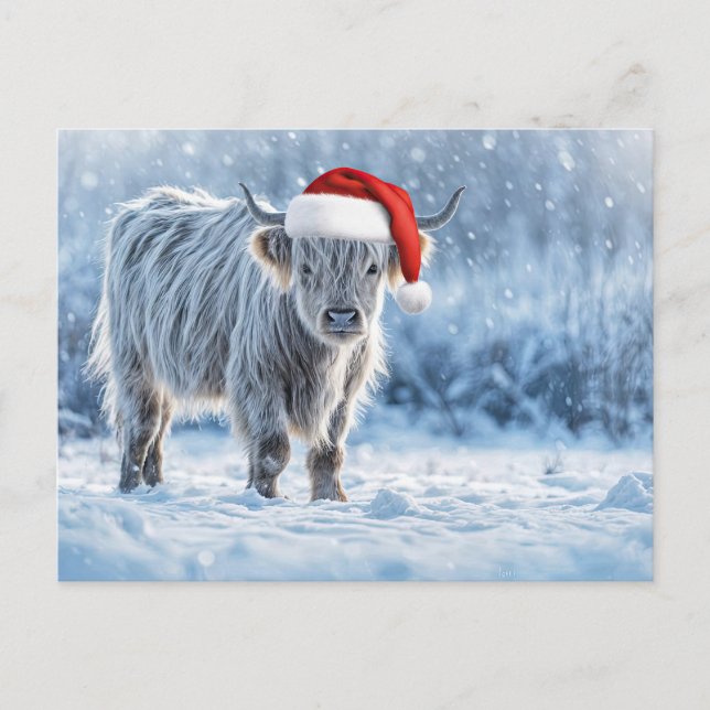 Holiday Highland Calf in the Snow Cute Vykort (Framsida)