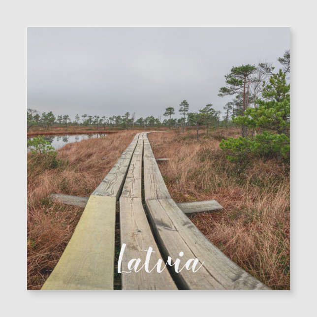 Höljspår i svampmagnet (Framsida)